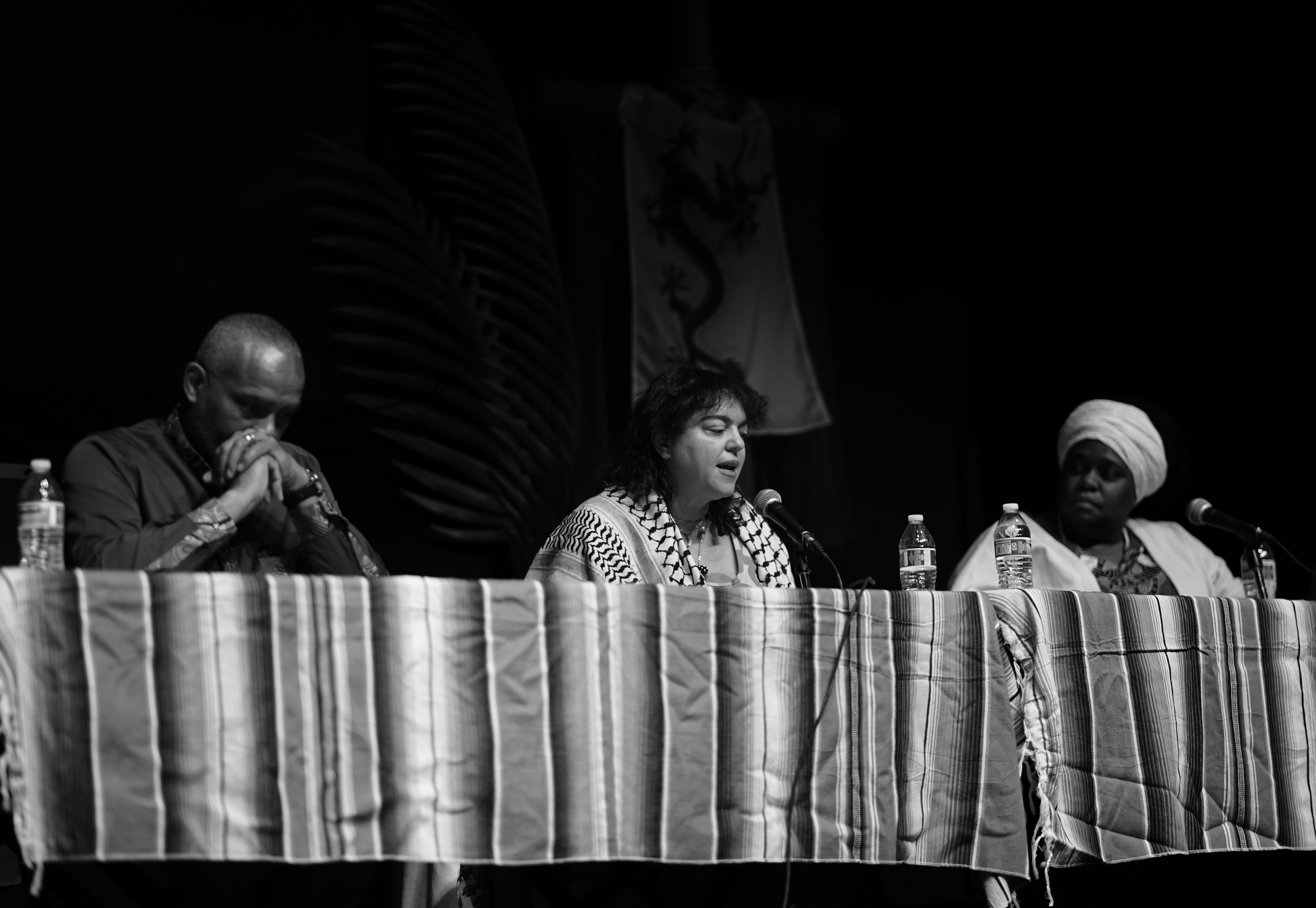 Historic Rebel Women Panel